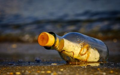 Presseartikel vom 07.02.2019